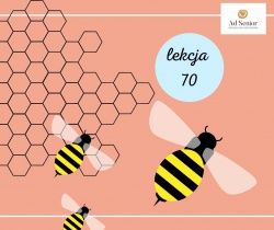 Lekcja 70 -  Insekten - Owady 
