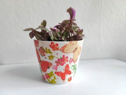 Decoupage 