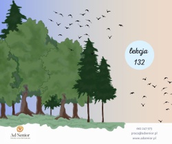 Lekcja 132 - Im Wald – W lesie
