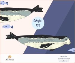 Lekcja 138 - Wilde Tiere  - dzikie zwierzęta