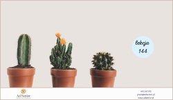 Lekcja 144 – Topfpflanzen zu Hause